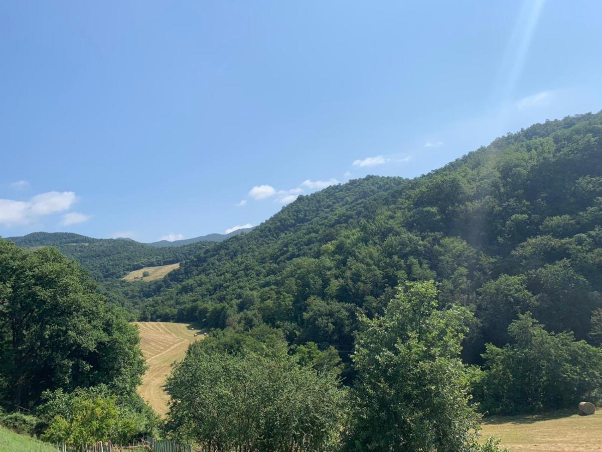 B&B Villa Bianca Sant'Agata  Екстер'єр фото